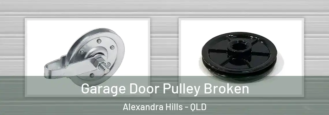  Garage Door Pulley Broken Alexandra Hills - QLD