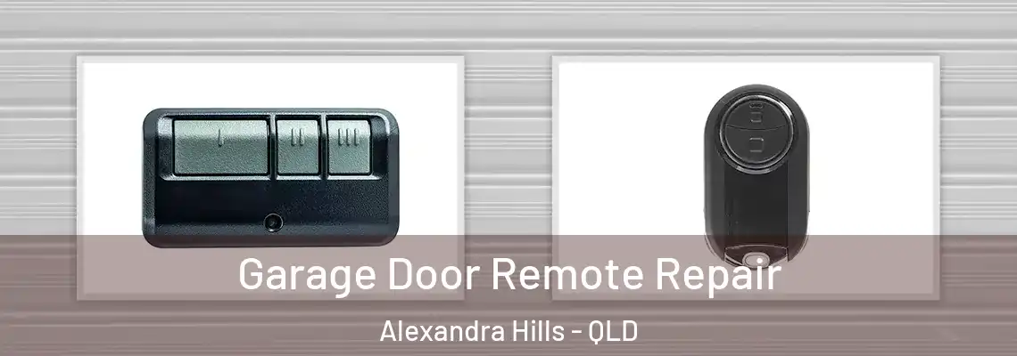 Garage Door Remote Repair Alexandra Hills - QLD