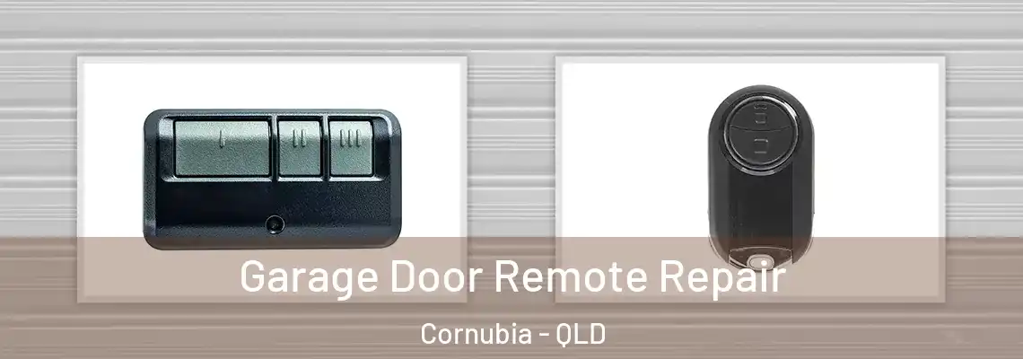 Garage Door Remote Repair Cornubia - QLD