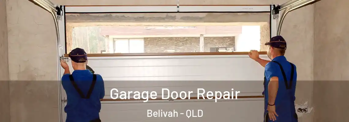  Garage Door Repair Belivah - QLD