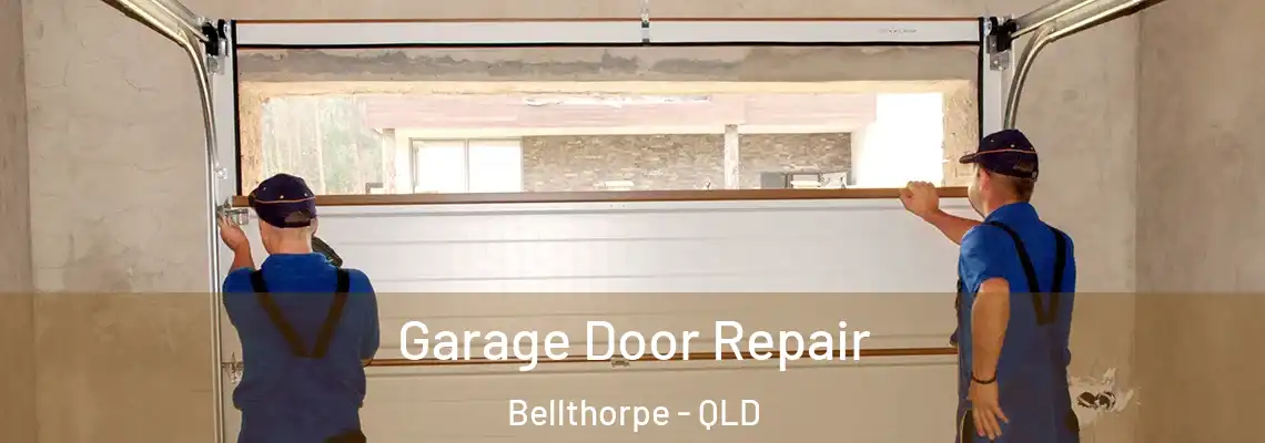 Garage Door Repair Bellthorpe - QLD