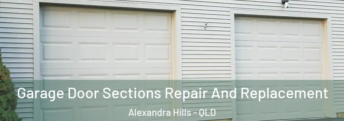 Garage Door Sections Repair And Replacement Alexandra Hills - QLD