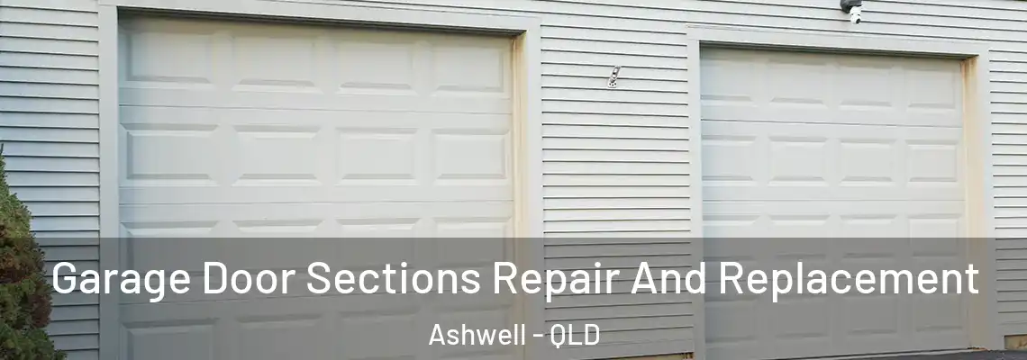 Garage Door Sections Repair And Replacement Ashwell - QLD