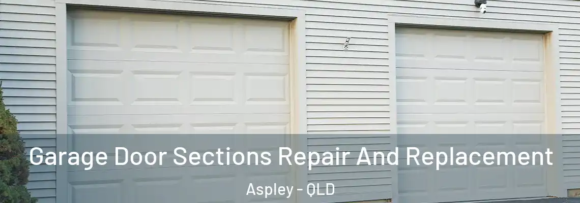 Garage Door Sections Repair And Replacement Aspley - QLD