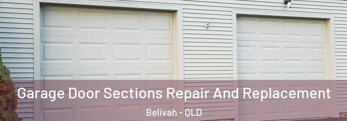 Garage Door Sections Repair And Replacement Belivah - QLD