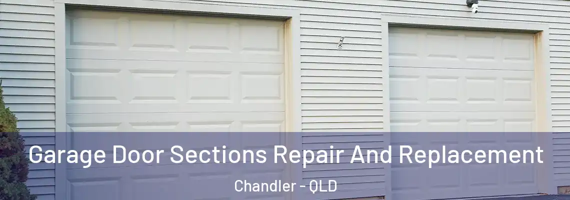 Garage Door Sections Repair And Replacement Chandler - QLD