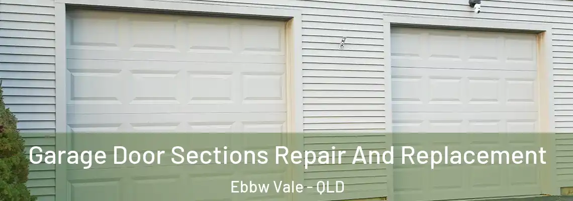 Garage Door Sections Repair And Replacement Ebbw Vale - QLD