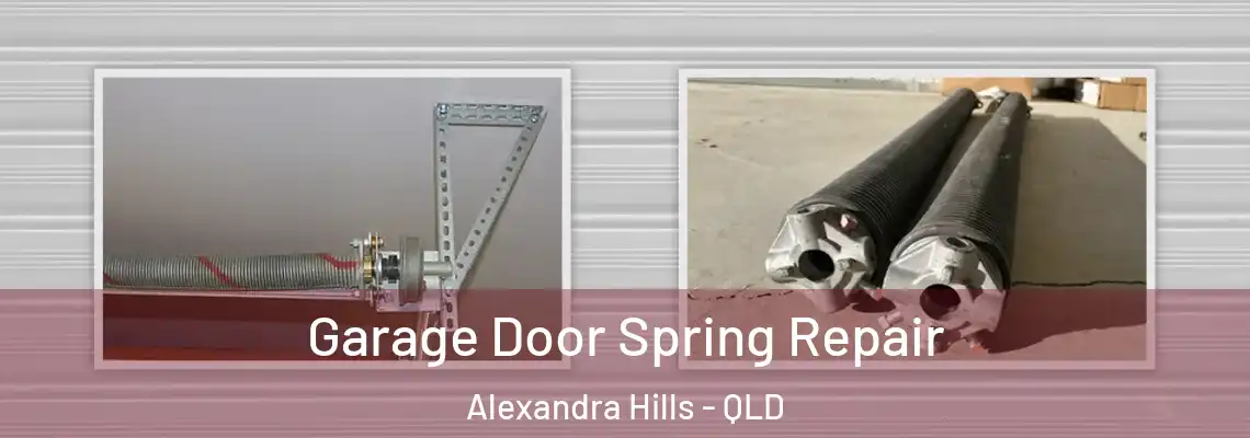 Garage Door Spring Repair Alexandra Hills - QLD