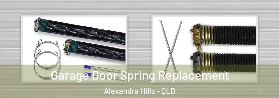 Garage Door Spring Replacement Alexandra Hills - QLD