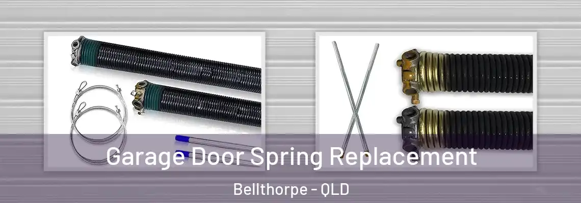 Garage Door Spring Replacement Bellthorpe - QLD