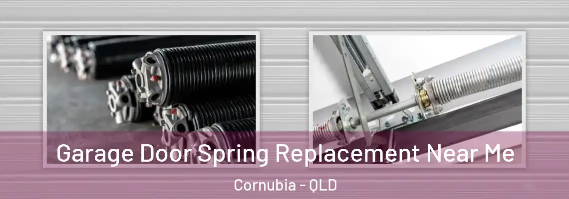 Garage Door Spring Replacement Near Me Cornubia - QLD