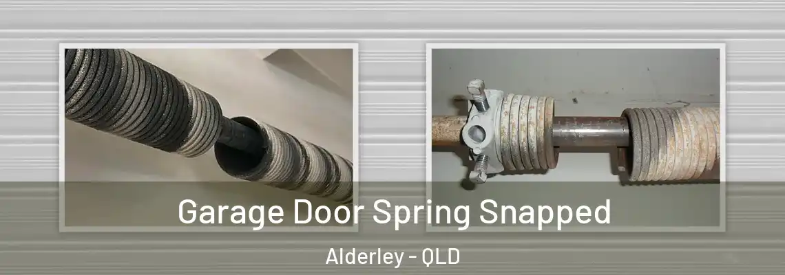  Garage Door Spring Snapped Alderley - QLD