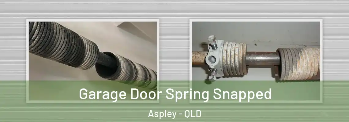  Garage Door Spring Snapped Aspley - QLD