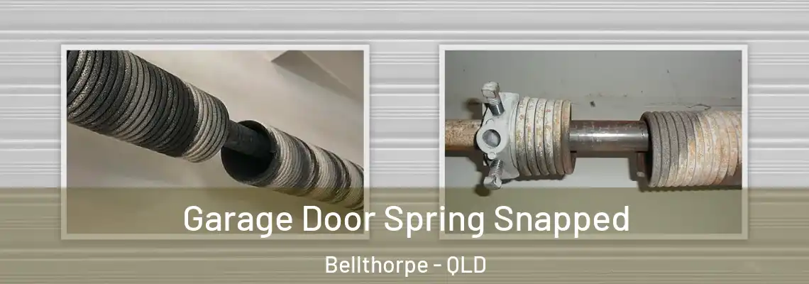 Garage Door Spring Snapped Bellthorpe - QLD