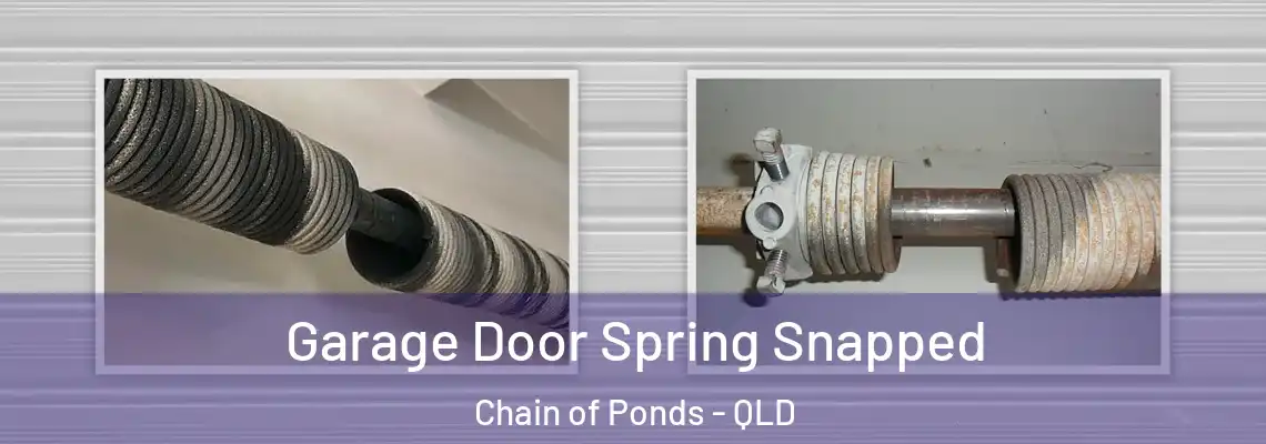 Garage Door Spring Snapped Chain of Ponds - QLD