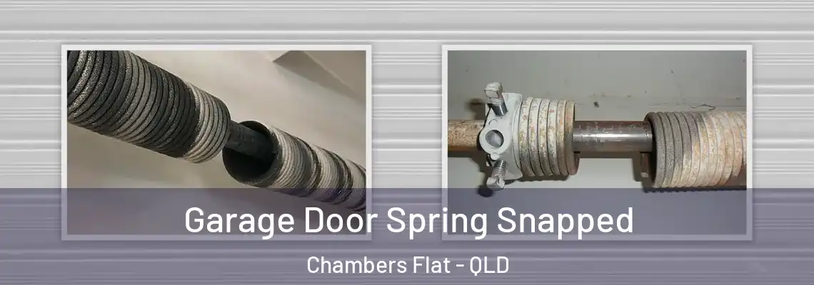  Garage Door Spring Snapped Chambers Flat - QLD