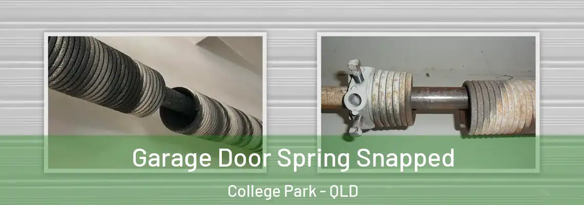 Garage Door Spring Snapped College Park - QLD