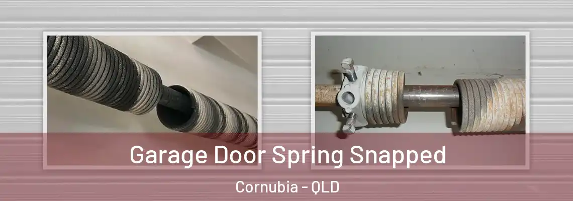  Garage Door Spring Snapped Cornubia - QLD