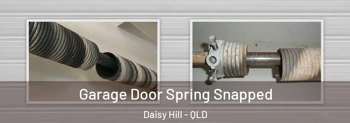 Garage Door Spring Snapped Daisy Hill - QLD
