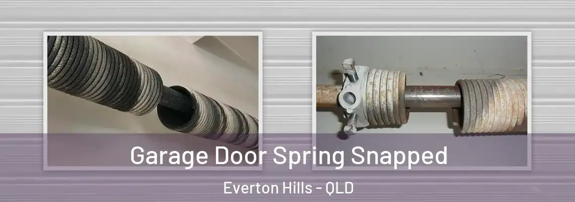 Garage Door Spring Snapped Everton Hills - QLD