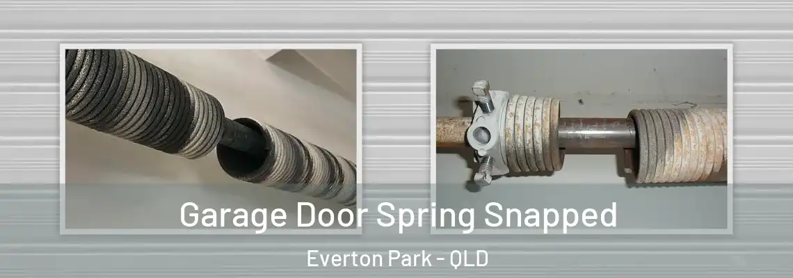 Garage Door Spring Snapped Everton Park - QLD