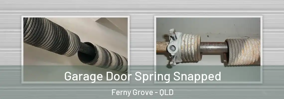 Garage Door Spring Snapped Ferny Grove - QLD