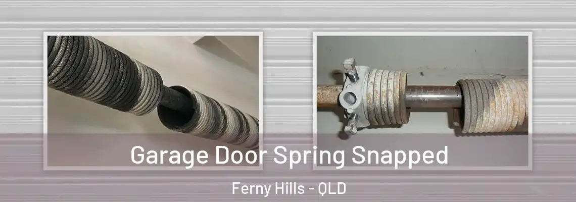 Garage Door Spring Snapped Ferny Hills - QLD