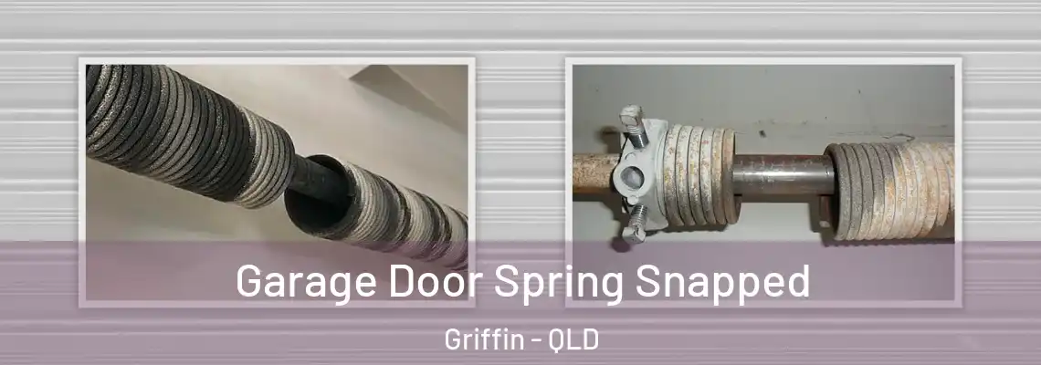 Garage Door Spring Snapped Griffin - QLD