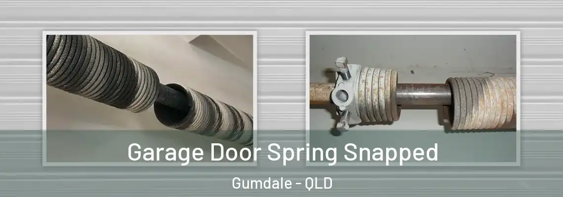  Garage Door Spring Snapped Gumdale - QLD