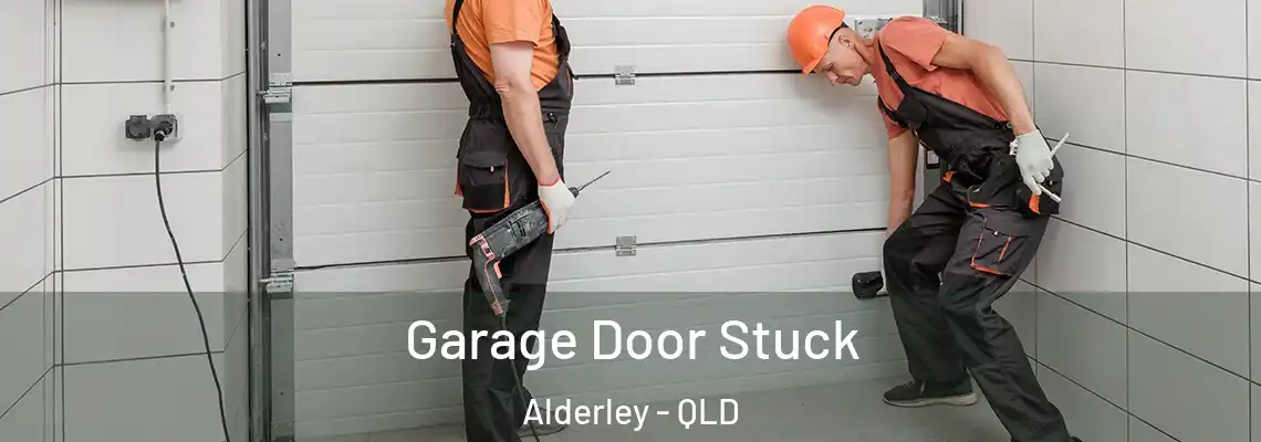  Garage Door Stuck Alderley - QLD