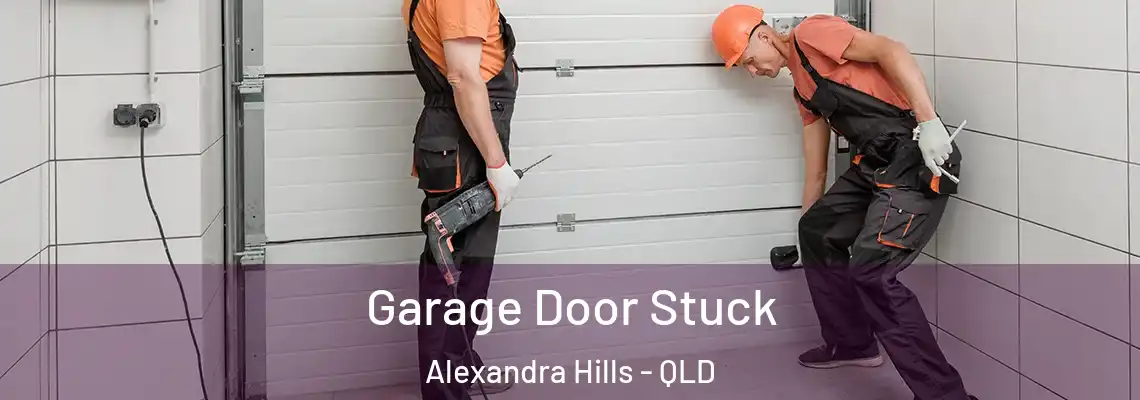 Garage Door Stuck Alexandra Hills - QLD