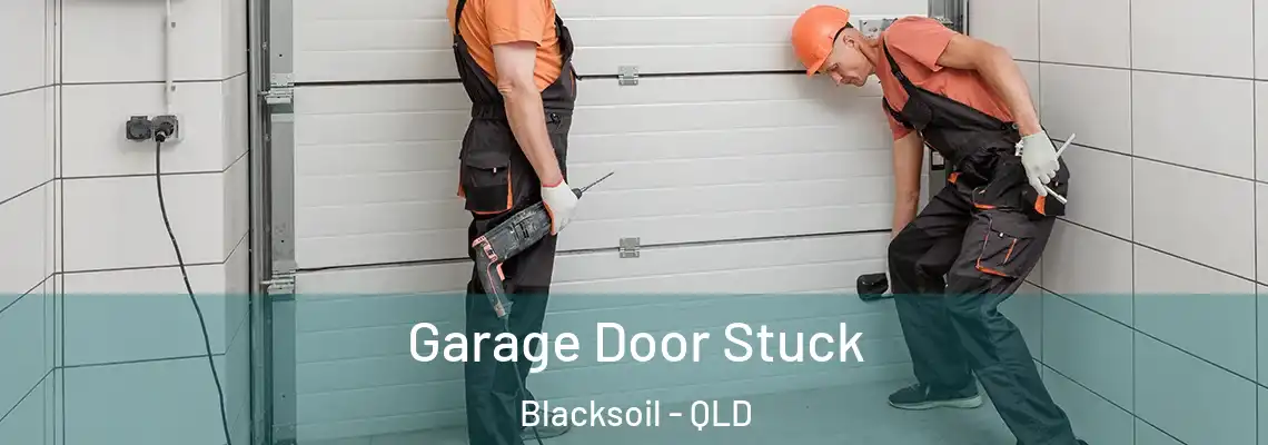 Garage Door Stuck Blacksoil - QLD