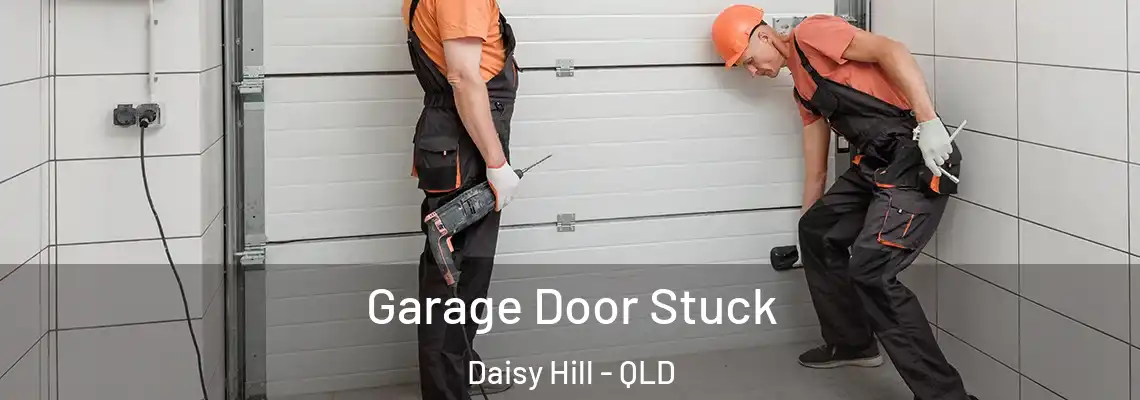 Garage Door Stuck Daisy Hill - QLD