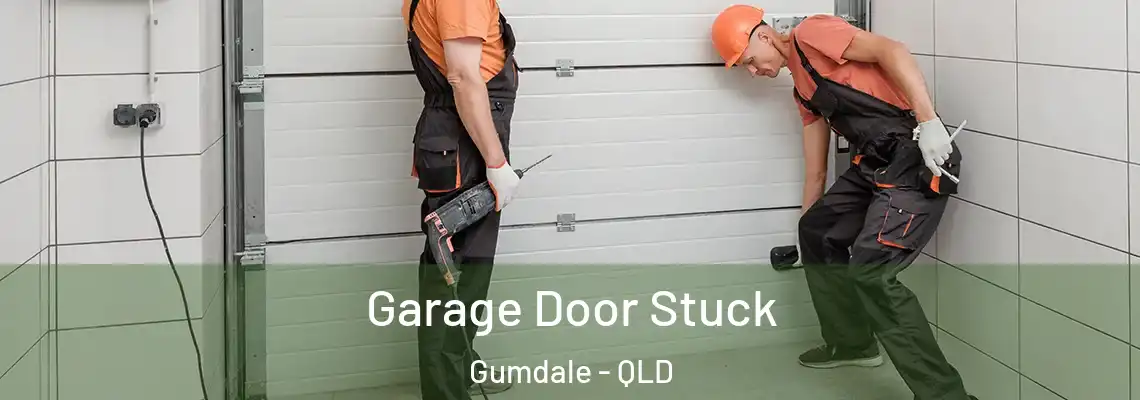 Garage Door Stuck Gumdale - QLD