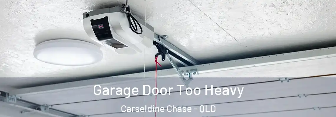  Garage Door Too Heavy Carseldine Chase - QLD
