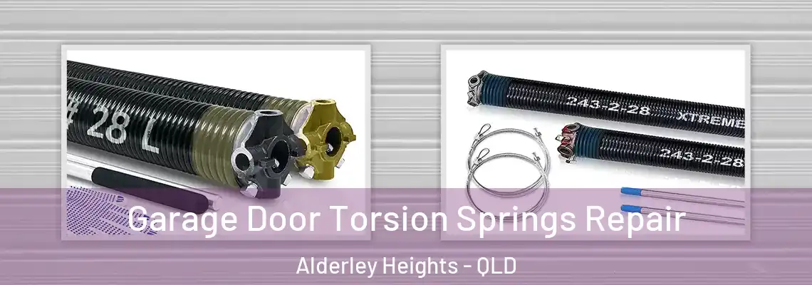 Garage Door Torsion Springs Repair Alderley Heights - QLD