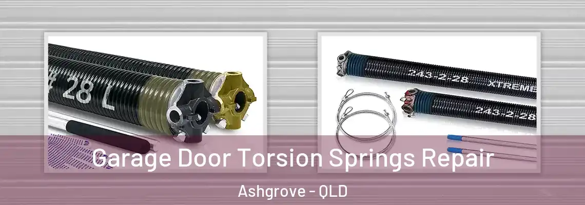 Garage Door Torsion Springs Repair Ashgrove - QLD