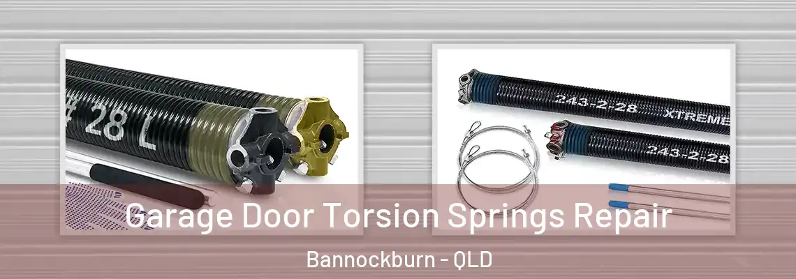 Garage Door Torsion Springs Repair Bannockburn - QLD