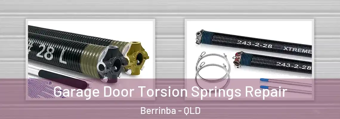 Garage Door Torsion Springs Repair Berrinba - QLD