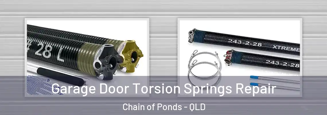 Garage Door Torsion Springs Repair Chain of Ponds - QLD
