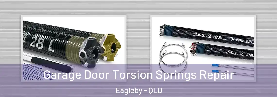 Garage Door Torsion Springs Repair Eagleby - QLD