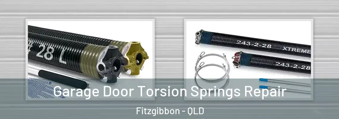 Garage Door Torsion Springs Repair Fitzgibbon - QLD