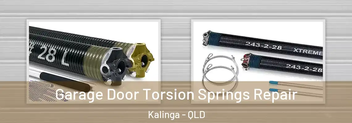 Garage Door Torsion Springs Repair Kalinga - QLD