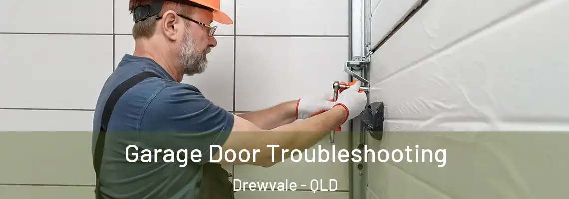 Garage Door Troubleshooting Drewvale - QLD