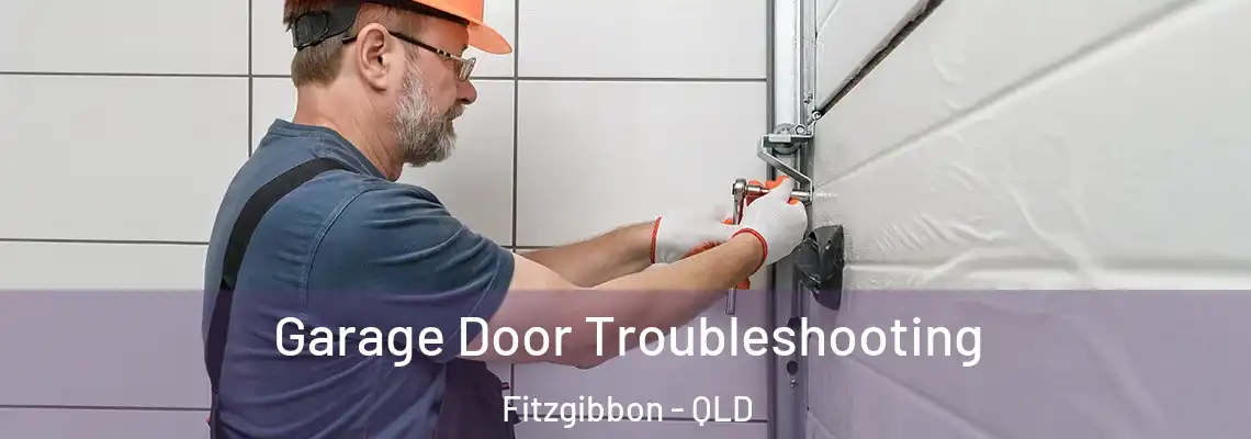 Garage Door Troubleshooting Fitzgibbon - QLD