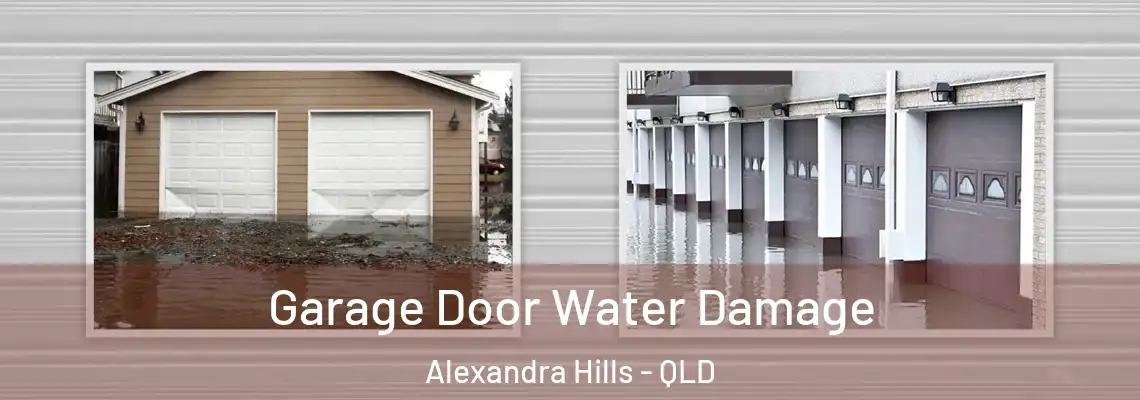 Garage Door Water Damage Alexandra Hills - QLD