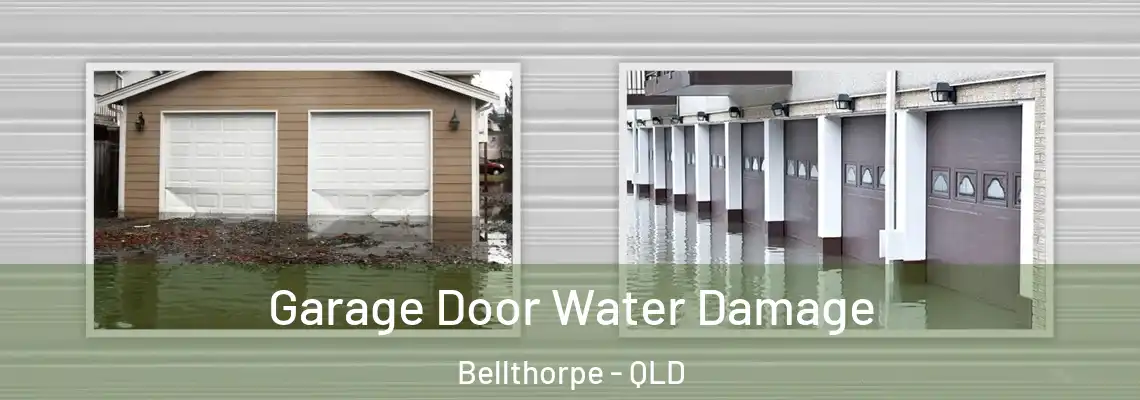 Garage Door Water Damage Bellthorpe - QLD