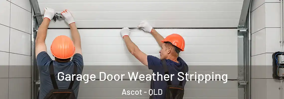 Garage Door Weather Stripping Ascot - QLD