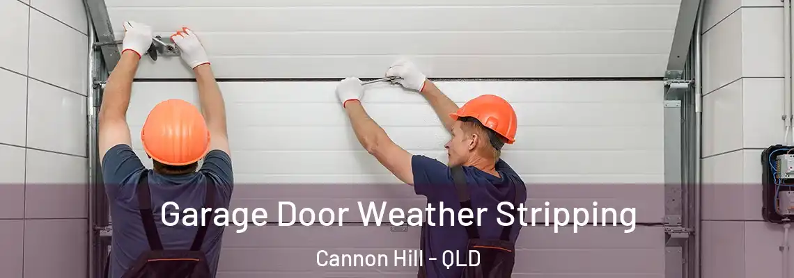 Garage Door Weather Stripping Cannon Hill - QLD