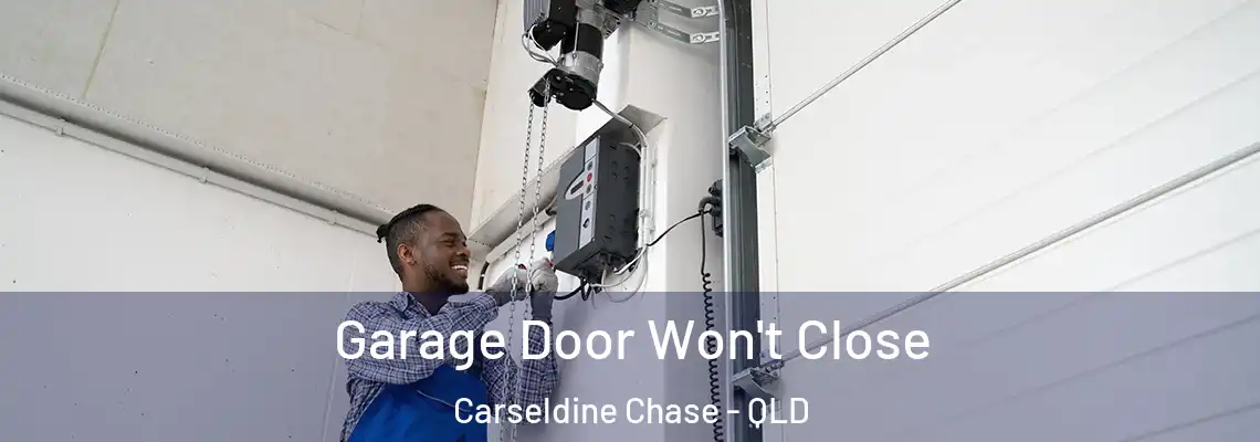 Garage Door Won't Close Carseldine Chase - QLD